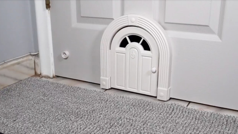 Miniature arched pet door opening with mini door