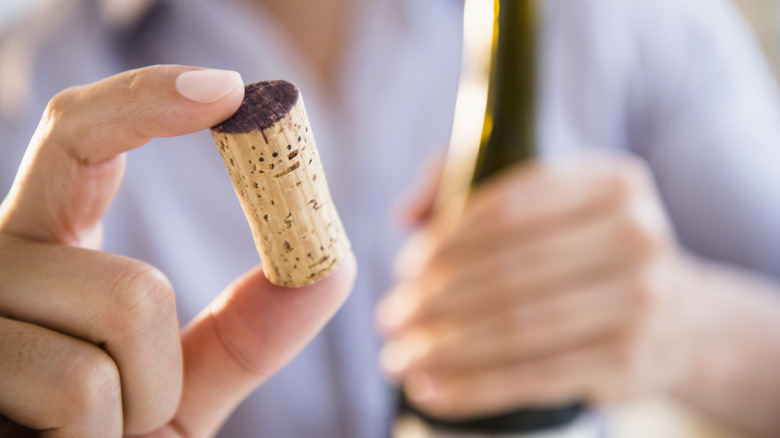 Person holding a wine cork