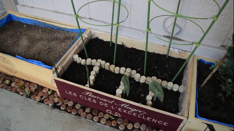 Corks used as edging to separate sections in a large garden planter