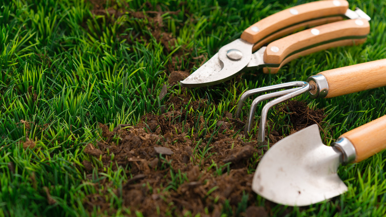 garden tools in grass