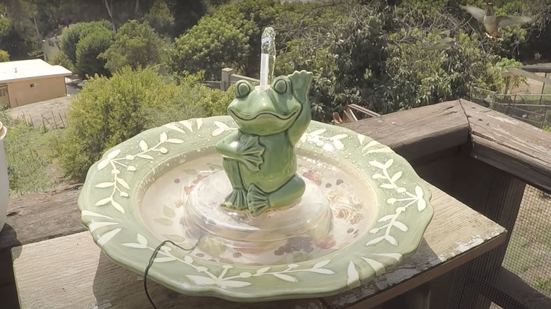 frog water fountain