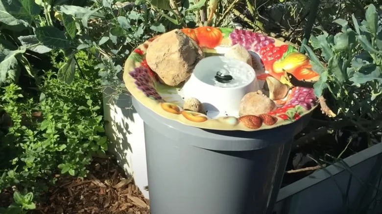 chip-and-dip bowl water fountain