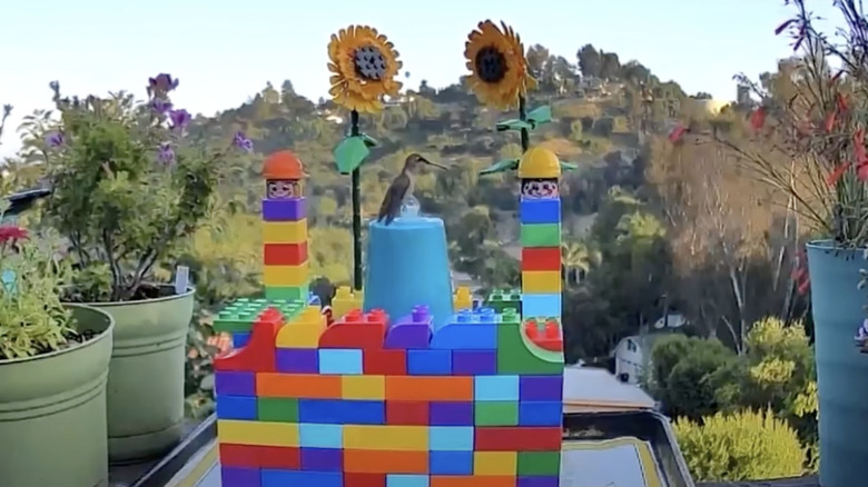 lego bird water fountain