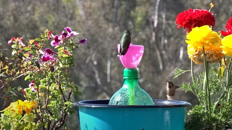 trash can water fountain