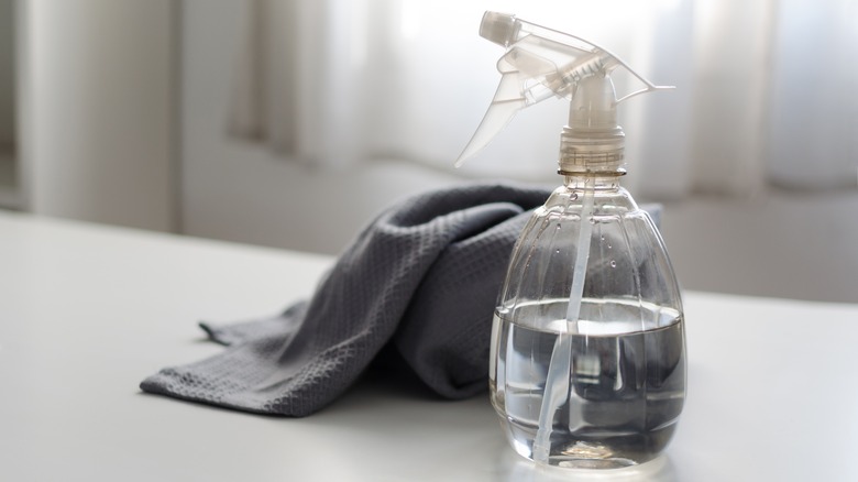 distilled white vinegar in spray bottle