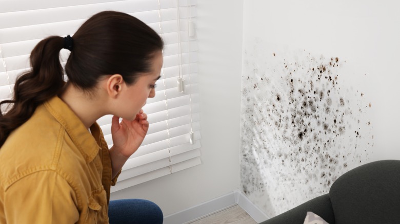 mold on interior wall