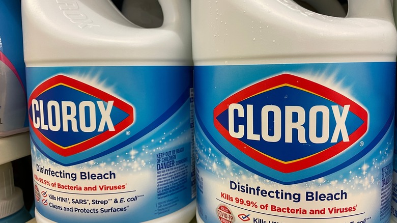 clorox bleach