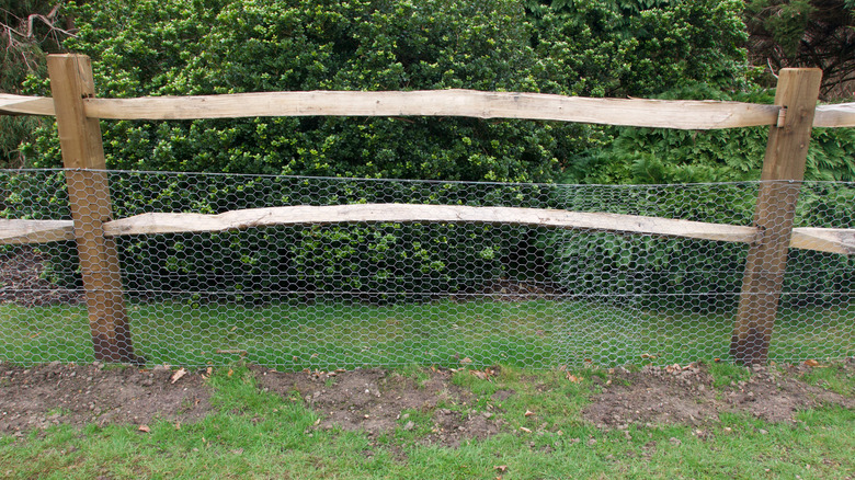 Chicken wire fence attached to wooden poles