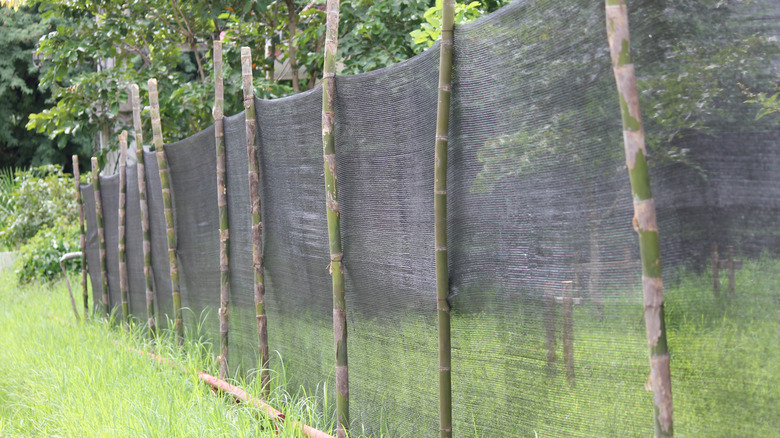 Temporary fence made of black mesh and bamboo stakes