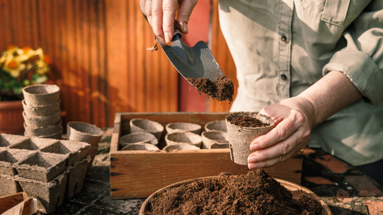 Person filling biodegradable seedling pots and trays with potting soil using small trowel