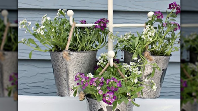 Small planters hanging from mug tree