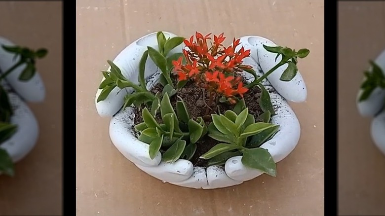 gardening gloves turned to bowl