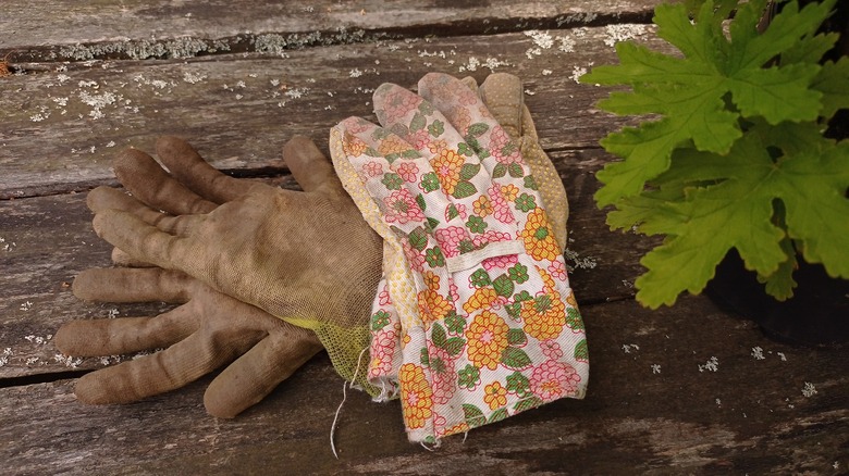 two pairs of gardening gloves