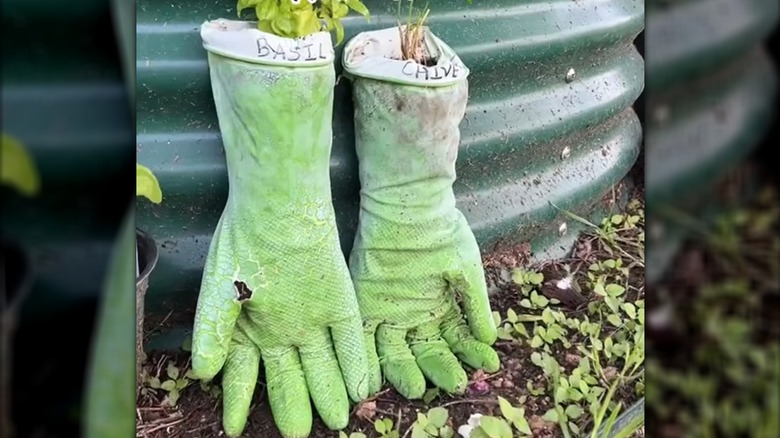 gardening glove planters