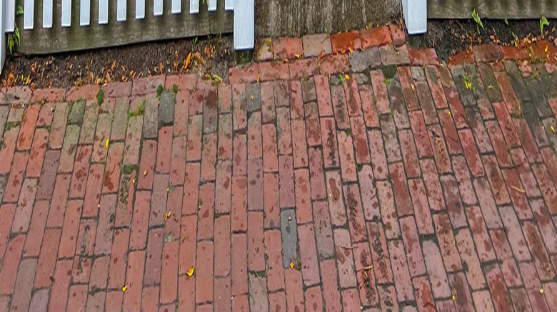 White picket fence with flowers and visible brick pathway to the house