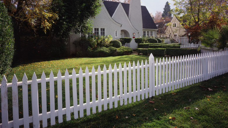 A plain white picket fence