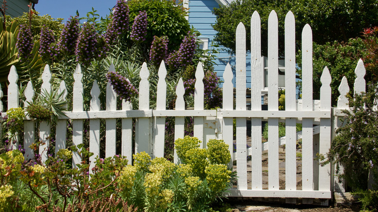 Charming garden along a white picket fence