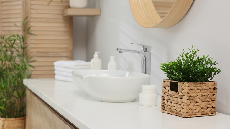 several plants in a low light bathroom