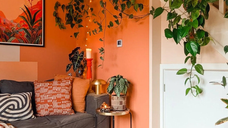 Terracotta paint on a chic living room wall