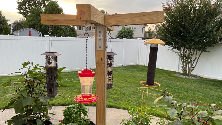 hanging hummingbird feeders