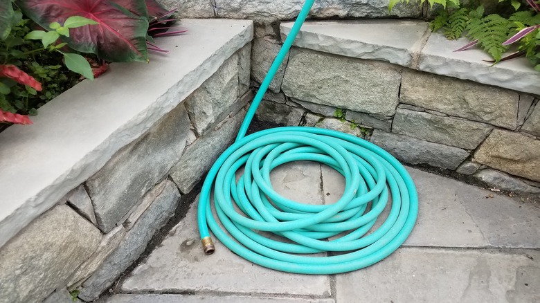 coiled blue garden hose
