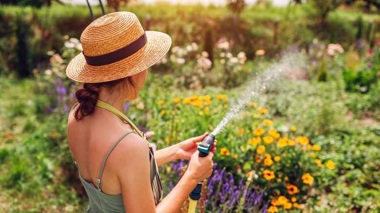 A woman in a straw hat waters a garden