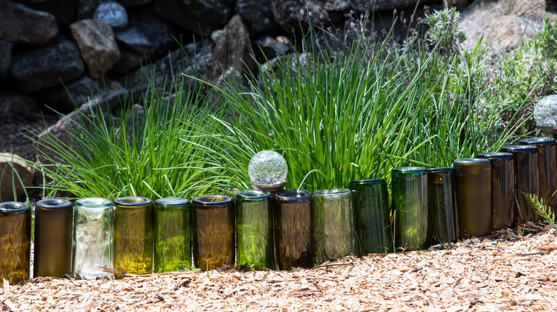 Wine bottles around garden bed