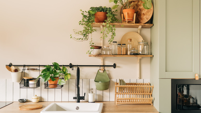 Indoor leafy houseplants with different foliage styled around a kitchen sink area