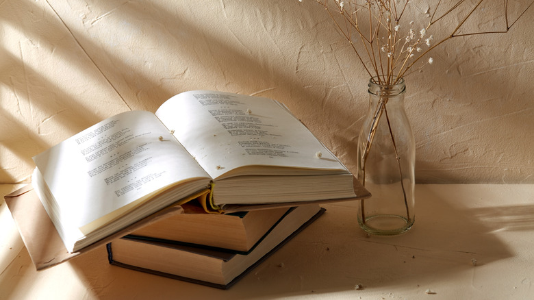 books and vase on counter