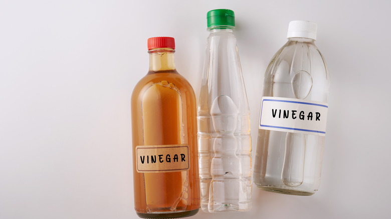 bottles of vinegar