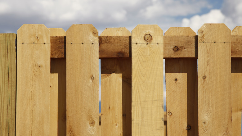 Shadowbox wood fence