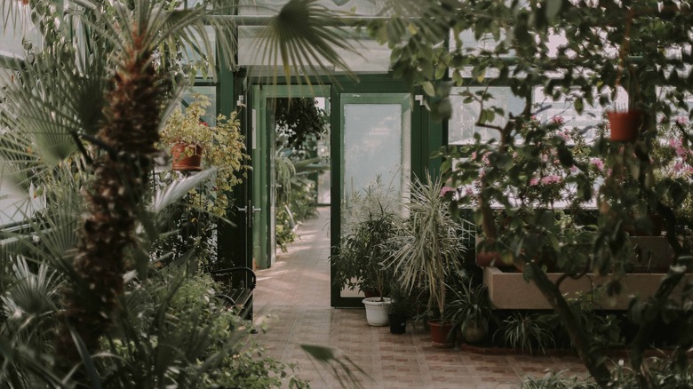 Room with lots of plants