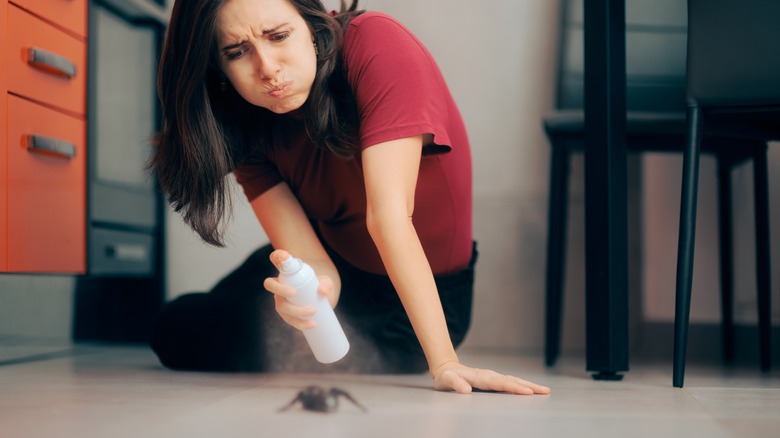 Woman spraying solution on spider