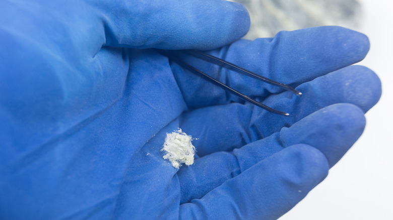 Asbestos fibers in gloved hand