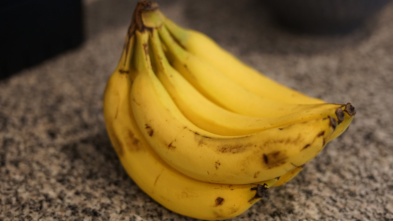 A bunch of bananas sitting on a counter