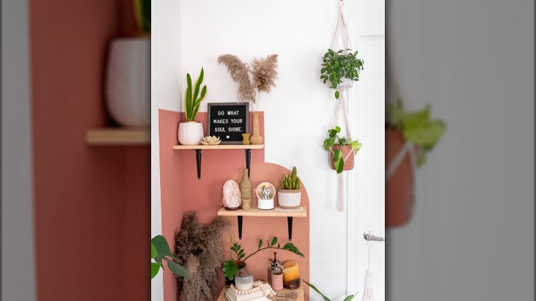 pink painted wall with plants