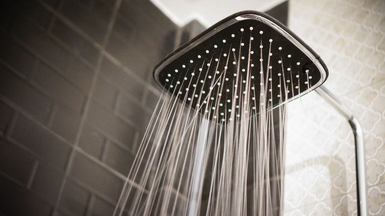 a waterfall showerhead