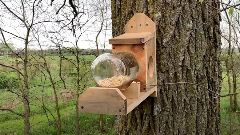 DIY mason jar squirrel feeder