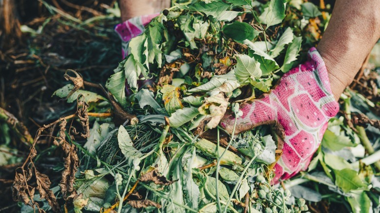 Hands collecting compost materials