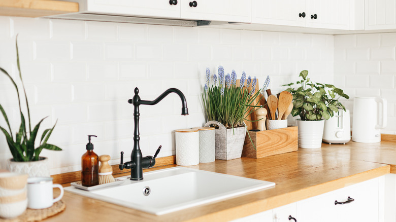 green houseplants in kitchen