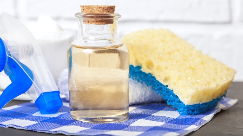 Vinegar with sponge and cloth