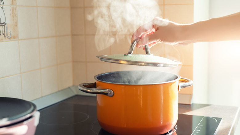 pot on stove boiling water