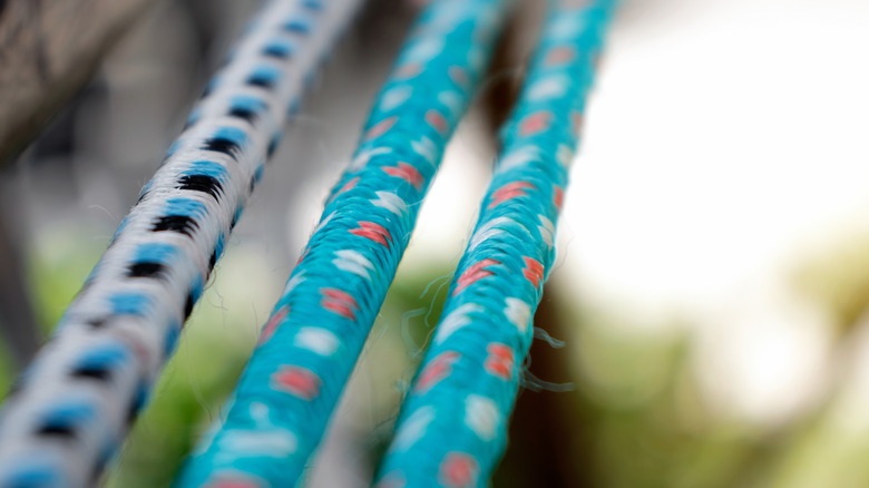 A close up photo of bungee cords