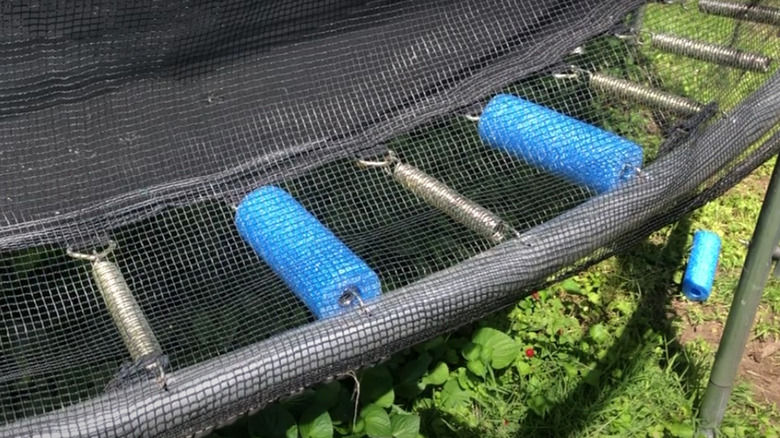 Pool noodles covering trampoline springs