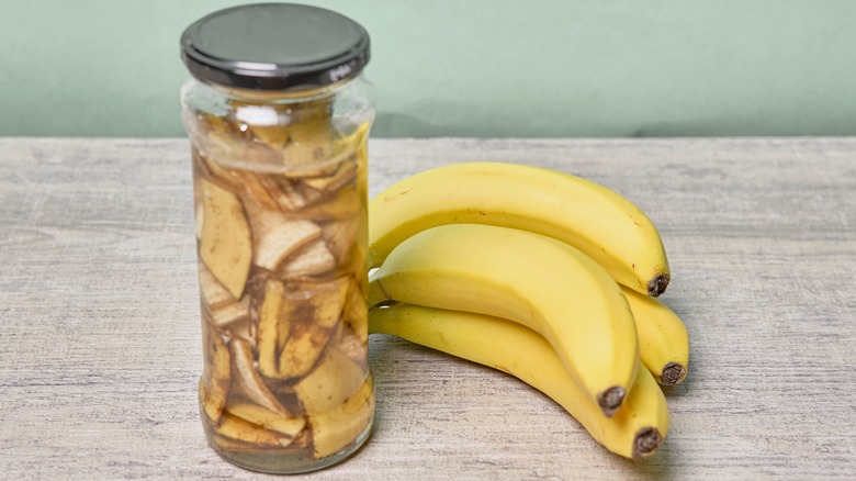 banana peels in a jar of water