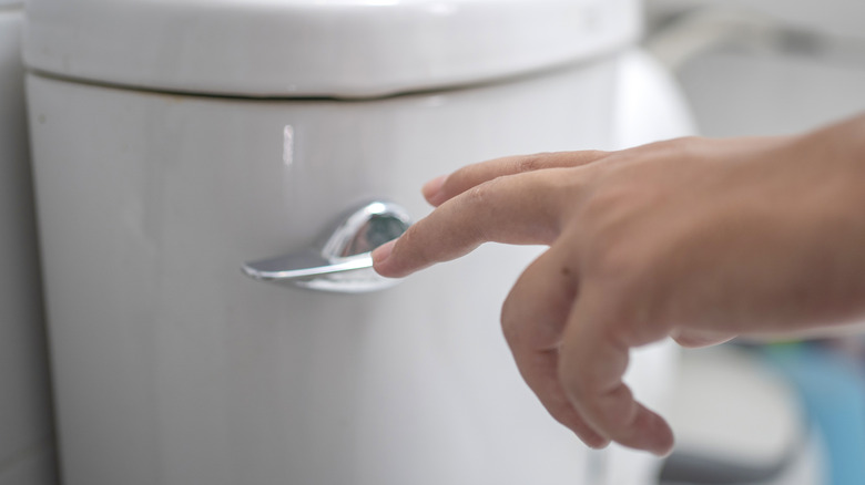 Person operating the toilet flush handle