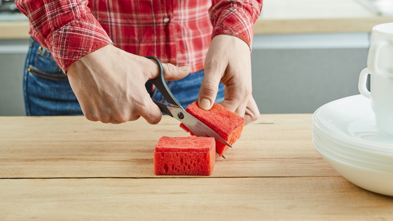 person cutting red dish sponge in half