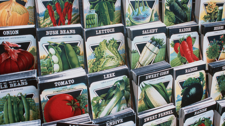 A variety of seed packets for sale on a shelf.