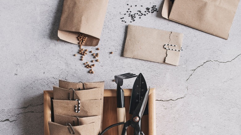 Bags of seeds alongside gardening tools.