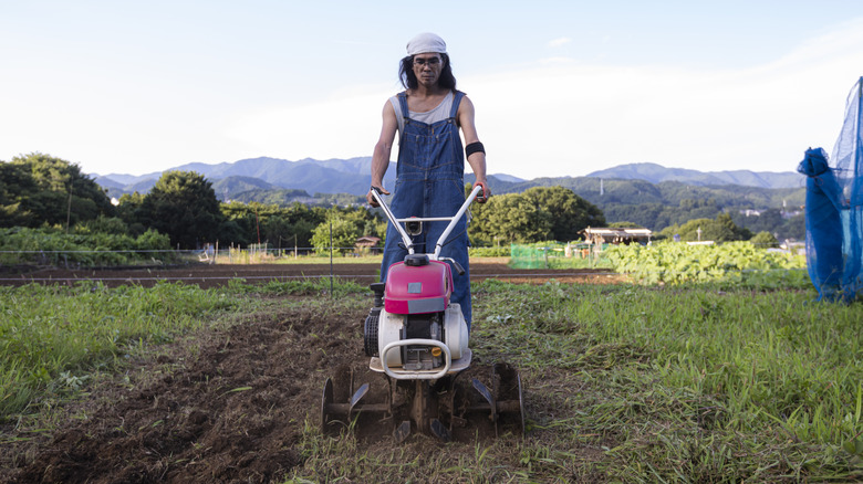 Person using a tiller tiller